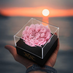 Kylin Glory preserved peony gift-box presentation with removable clear cover, perfect for gifting