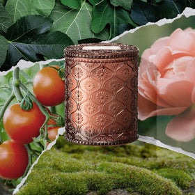 LA JOLIE MUSE Tomato & Vine candle jar with cedar and patchouli notes for grounding ambiance.