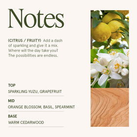 Cedarwood base detail adds warmth to the LA JOLIE MUSE candle profile.