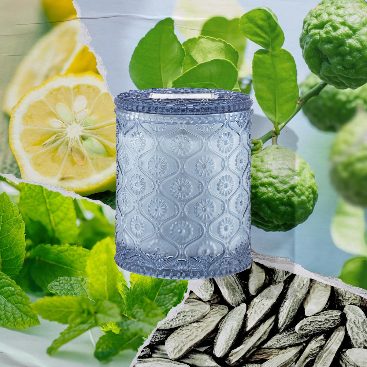La Jolie Muse Citrus Mint Candle with yuzu and eucalyptus for fresh rooms.