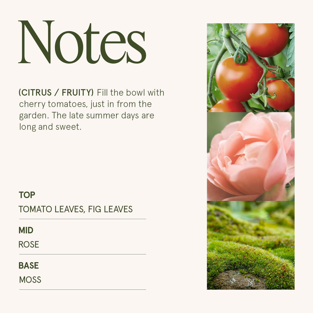 LA JOLIE MUSE embossed daisy jar adds decorative charm to any room.