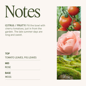 LA JOLIE MUSE embossed daisy jar adds decorative charm to any room.