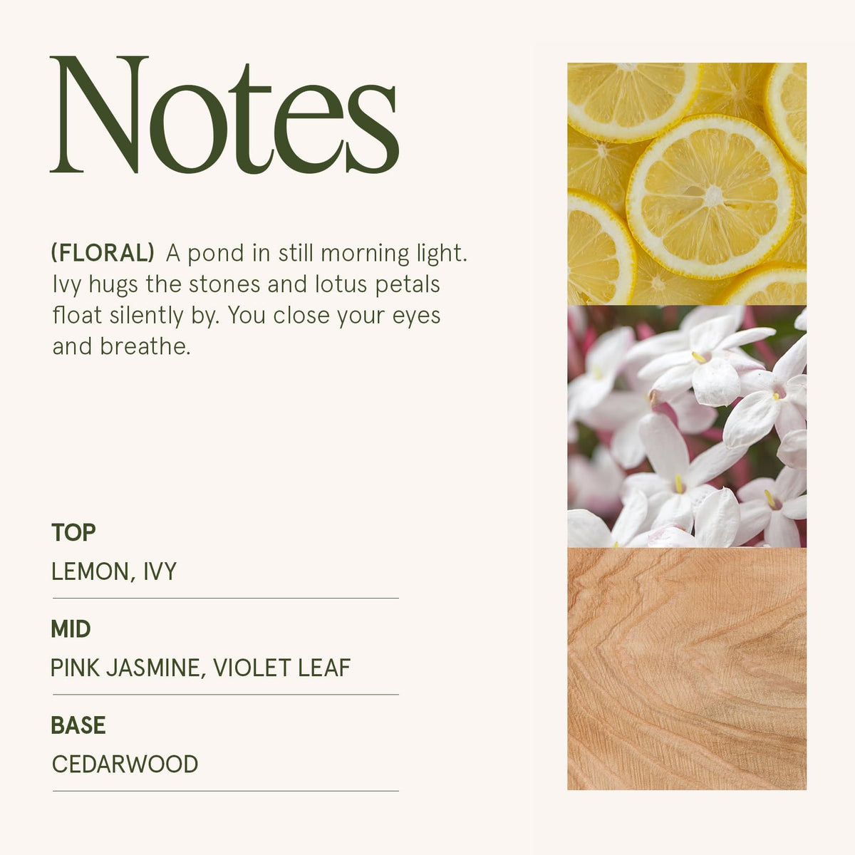 LA JOLIE MUSE Jasmine Candle scent diffusion fills the room with a calming aroma.