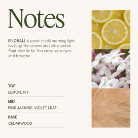 LA JOLIE MUSE Jasmine Candle scent diffusion fills the room with a calming aroma.