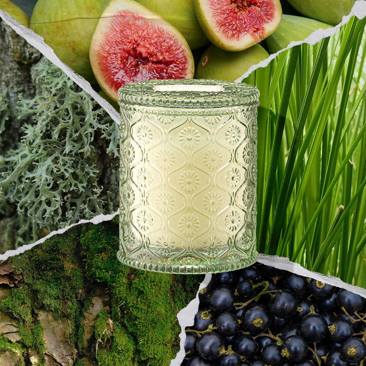 LA JOLIE MUSE Kyoto Vine & Moss candle highlighting tree moss for a tranquil mood.