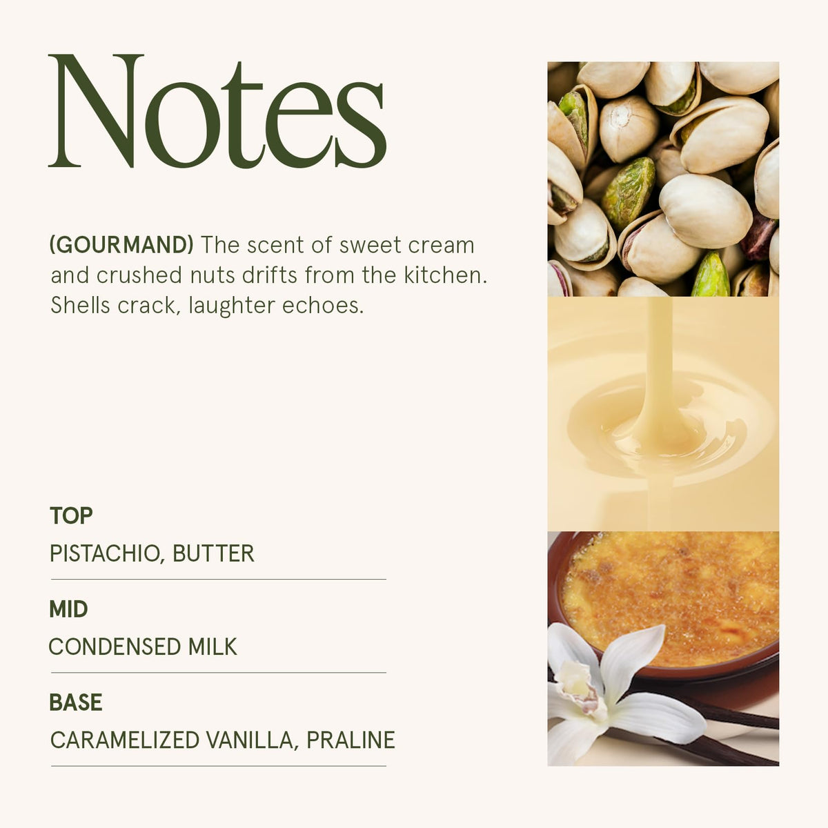 LA JOLIE MUSE Pistachio Macaron candle label and daisy emblem elevate luxury presentation.