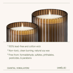 La Jolie Muse Santal Himalayen in a room setting fills space with warm aroma.
