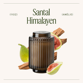 Lead-free wick and premium essence in La Jolie Muse Santal Himalayen ensure smooth burn.