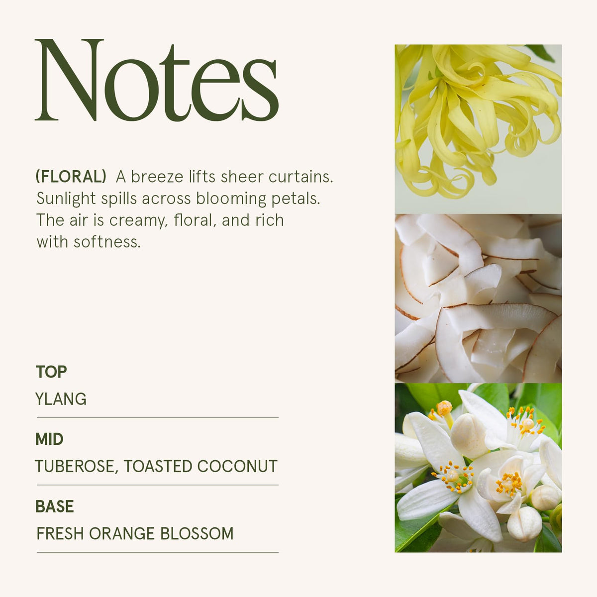LA JOLIE MUSE tuberose and toasted coconut notes create a creamy heart.