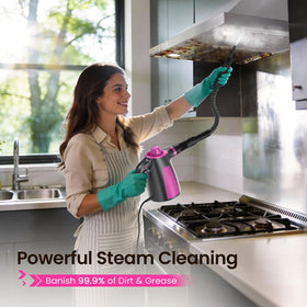LABIGO handheld steamer used on kitchen surfaces for grease removal.