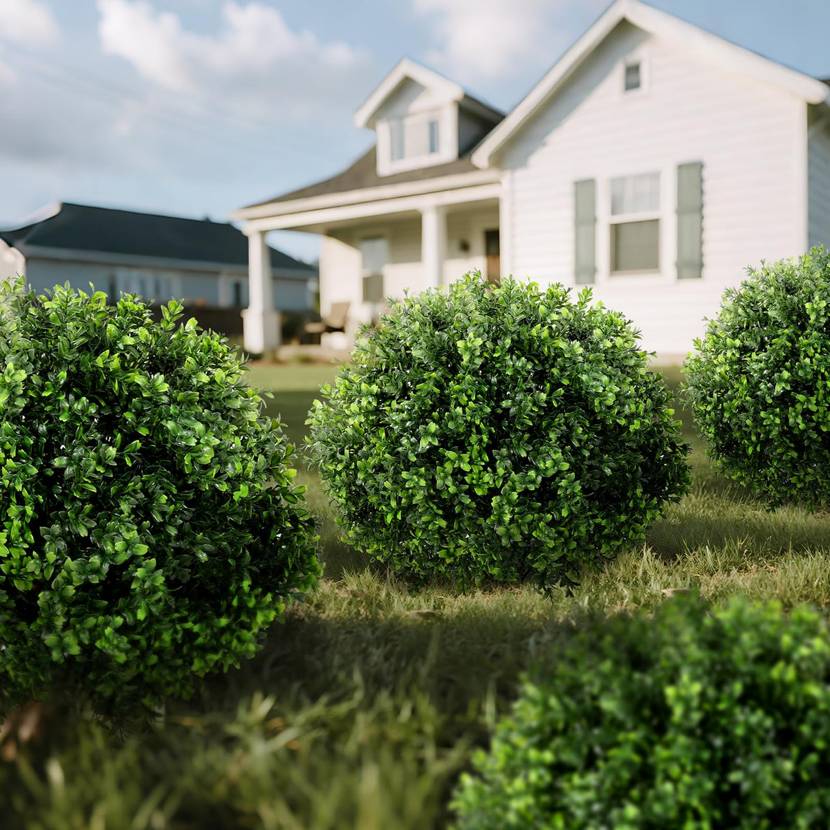 LadyRosian boxwood topiary close-up highlights leaf texture and realism.