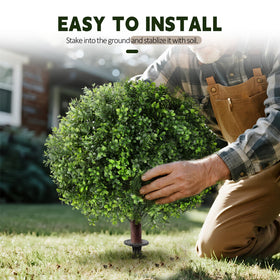 LadyRosian boxwood topiary suited for patio or garden placements.
