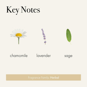 LAFCO Chamomile Lavender scent profile with calming notes and bergamot