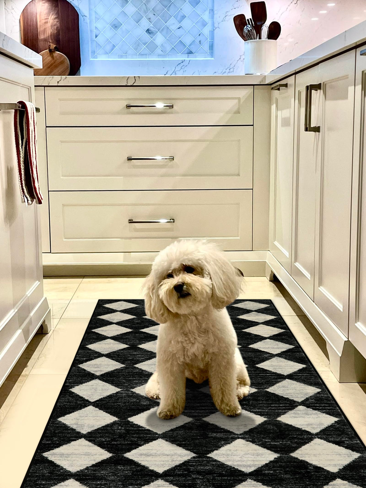 Lahome Zelie black and white trellis pattern adds timeless style.