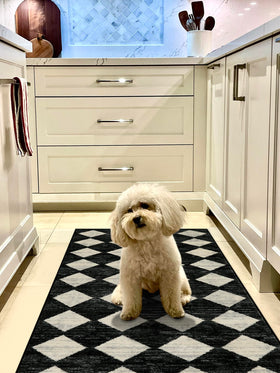 Lahome Zelie black and white trellis pattern adds timeless style.