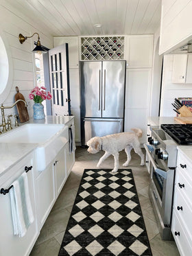 Lahome Zelie non-slip back rug stays in place on smooth floors
