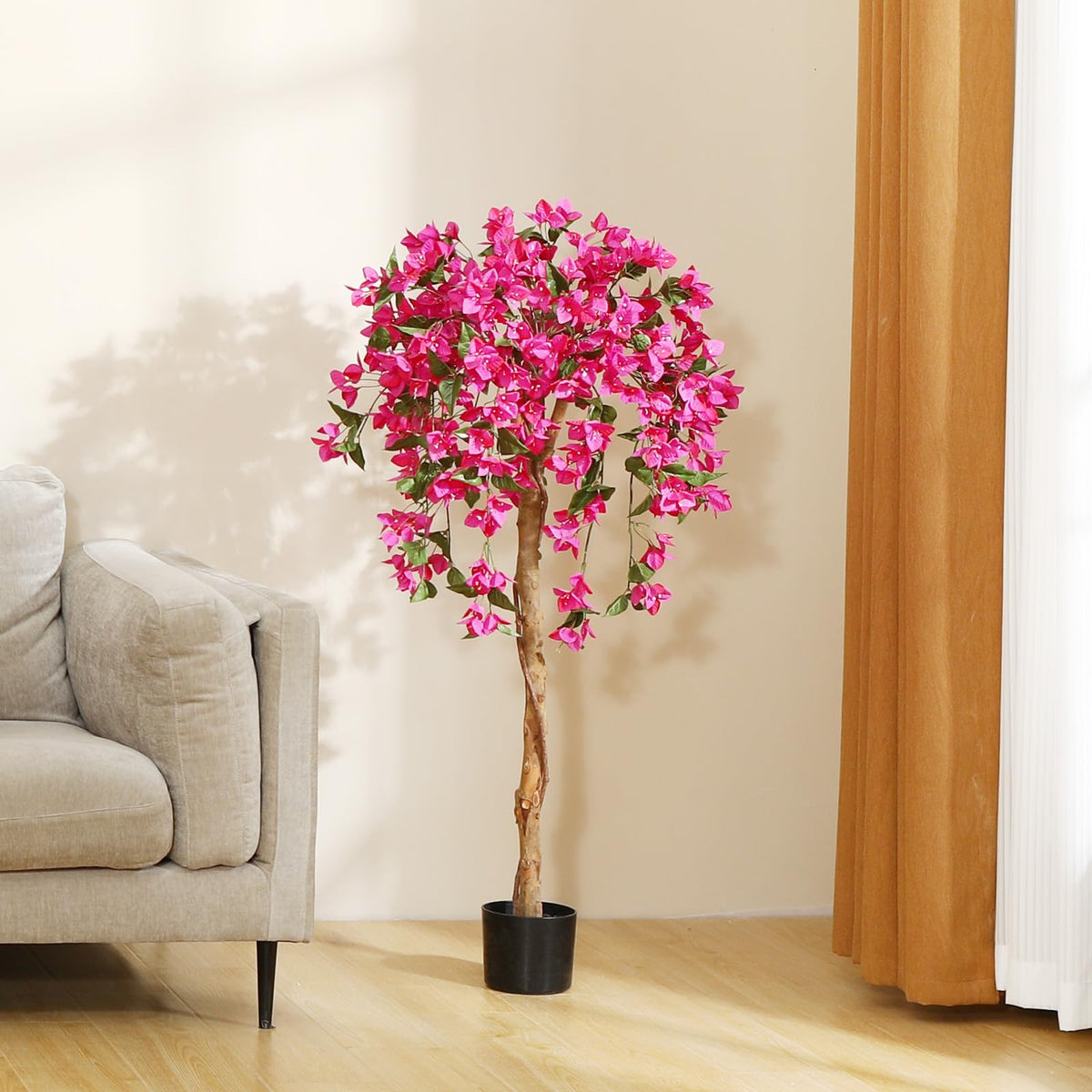 Laiwot Bougainvillea tree stands 4ft tall for dramatic presence.