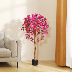 Laiwot Bougainvillea tree stands 4ft tall for dramatic presence.