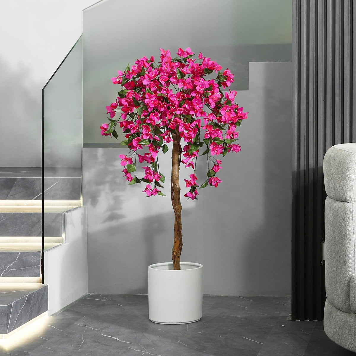 Laiwot Bougainvillea tree requires no ongoing maintenance.