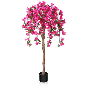 Laiwot Bougainvillea tree with pink flowers for vibrant indoor decor.