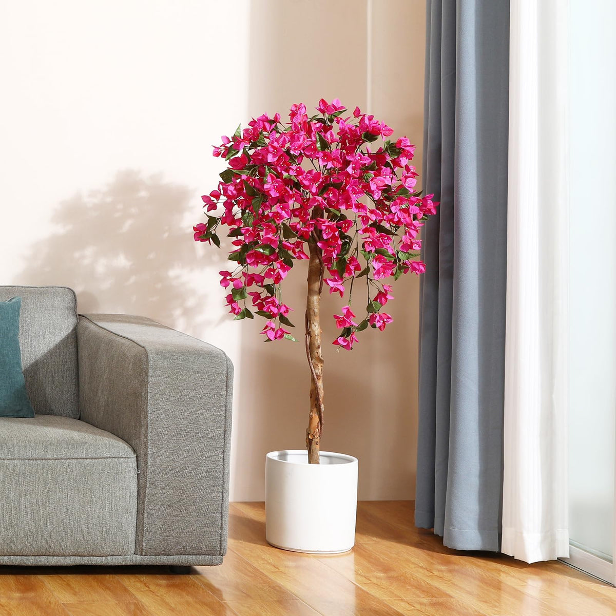 Laiwot Bougainvillea tree enhances wedding venues with color.
