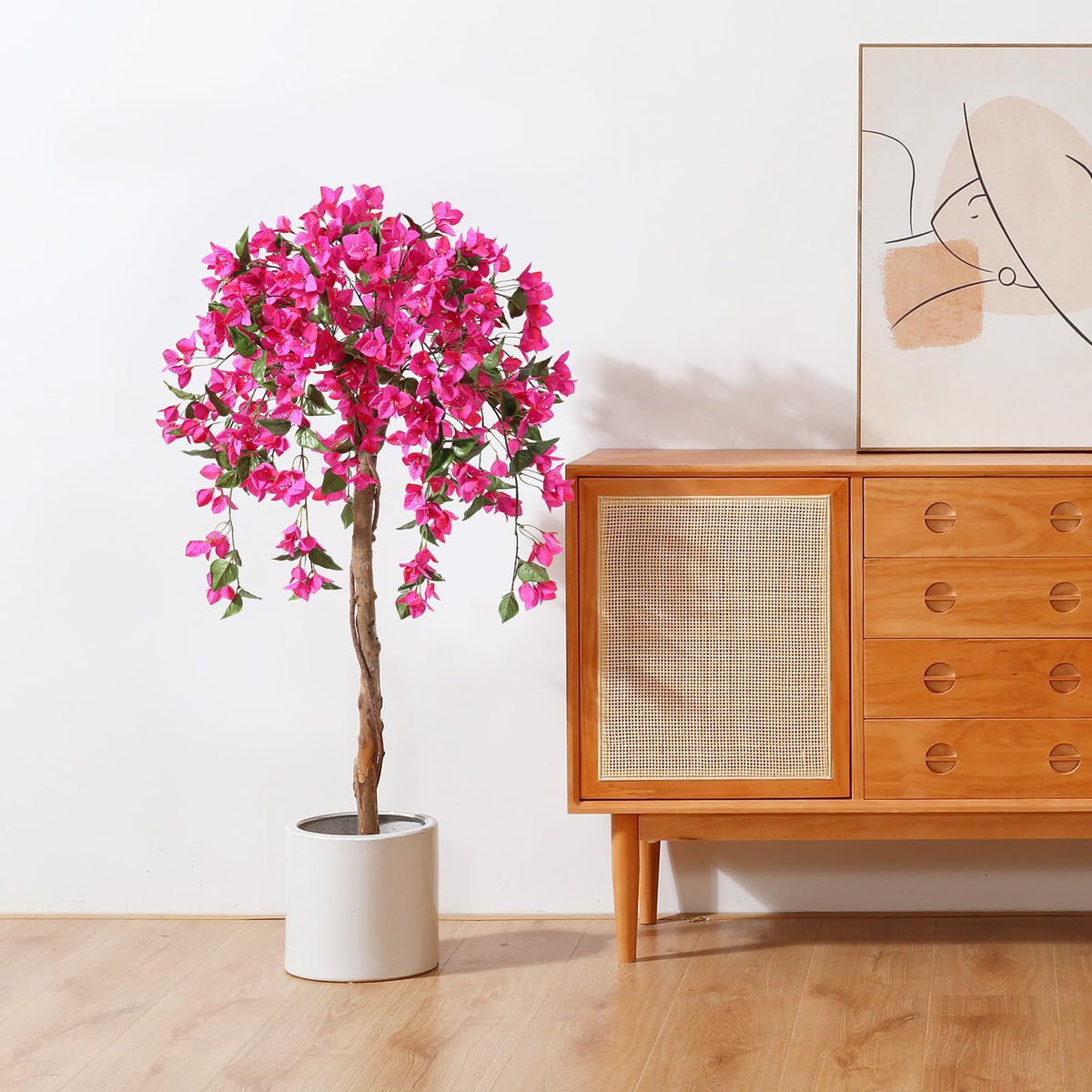 Laiwot Bougainvillea tree wood trunk adds natural texture to spaces.