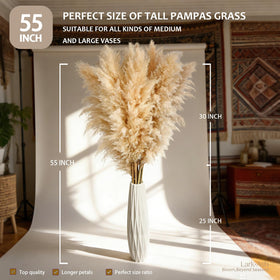 LarkAsh dried pampas grass for wall decor and cozy spaces