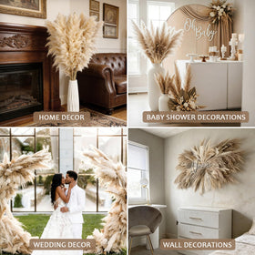 LarkAsh pampas grass perfect for wedding decor and photo-ready tables
