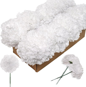 Larksilk carnations white heads with 3.5 inch blooms on 5 inch stems, ideal for durable centerpieces