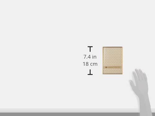 Lawrence Frames Simply Gold frame back view with velvet backing and wall hangers for secure mounting.