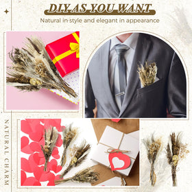 Layhit dried flower bundle variety featuring reed, oats, and hydrangea for versatile crafts.