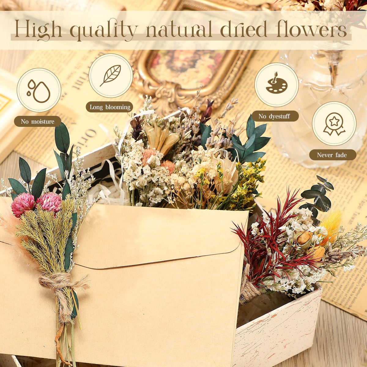 Layhit dried flowers back view bundle highlights natural textures and airy charm