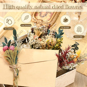 Layhit dried flowers back view bundle highlights natural textures and airy charm