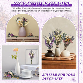 Layhit dried flowers handmade collection closeup with varied stems