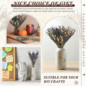 Layhit handmade natural dried flowers close-up texture adds rustic charm to any room.