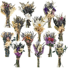 Layhit mini boho dried flower bouquet 12-pack front view for vase decor