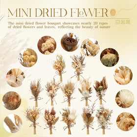 Layhit natural odorless dried flowers for timeless home styling.