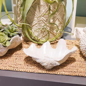 LCdecohome seashell decor bowl on desk enhances workspace with natural seaside vibe.