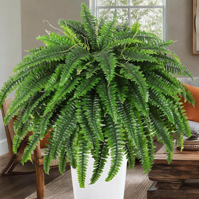 LCKRVOL fern leaves close-up highlighting detailed texture and realism