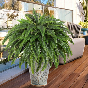 LCKRVOL sunroom fern showcasing UV resistance for outdoor durability