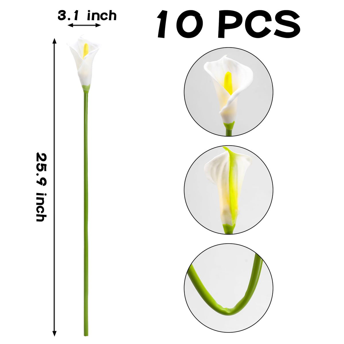 Lcuasc Calla Lily packaged carefully for gifting or gifting-ready presentation.