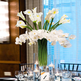 Lcuasc Calla Lily elevated display in a tall vase with white blooms.