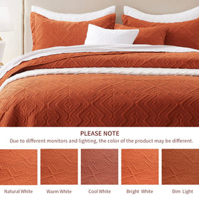 Easy-care instructions for LEAONME king quilt set: cold wash, low dry