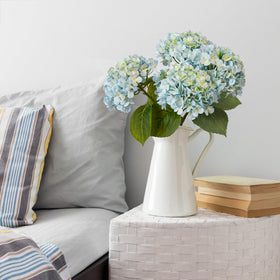 Leftover hydrangea care-free display cleans easily with a damp cloth