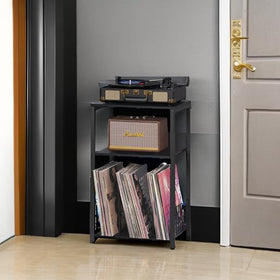 LELELINKY two open shelves keep media essentials organized