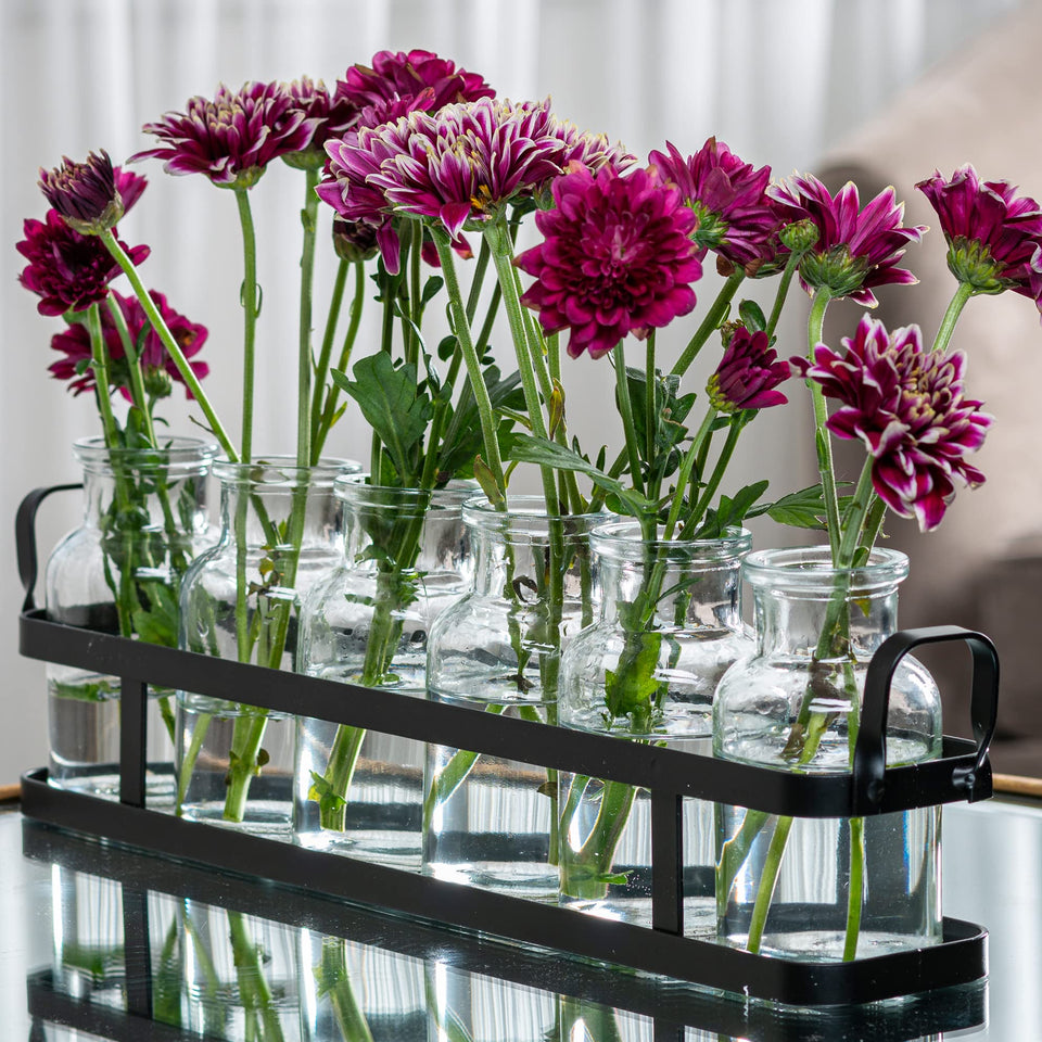 Le'raze seven-piece bud vase set in glass, ideal for sunlit tables and minimalist decor.