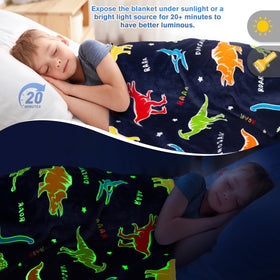 Levens soft polyester fiber blanket is skin-friendly and cozy