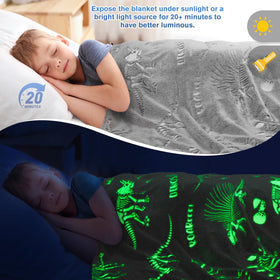Levens Dinosaur World blanket size 50x60 inches for shared comfort