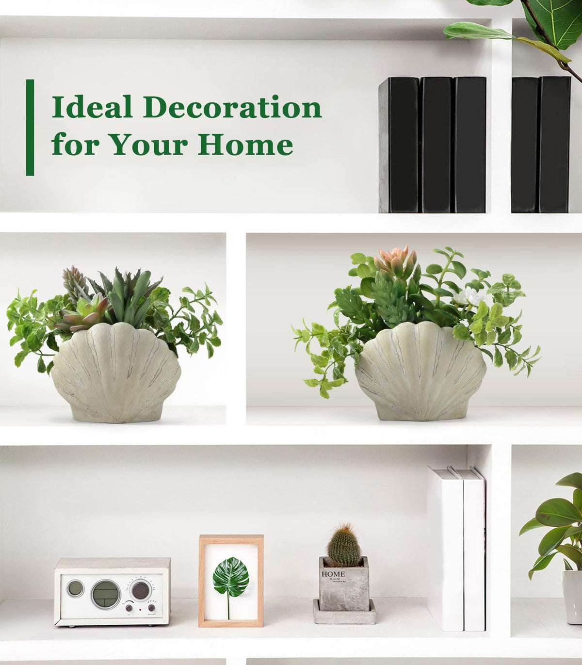 Lewondr coastal beach decor idea suitable for bedroom or living room