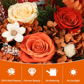 Lewondr gift bag and greeting card included for thoughtful gifting